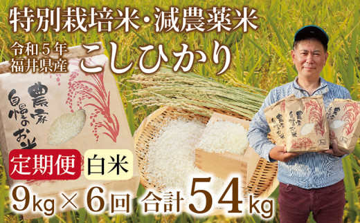 先行予約・新米〉【定期便６回】減農薬米 こしひかり 9kg(3kg×3袋