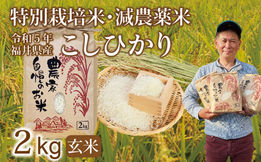 新米〉減農薬米 こしひかり 2kg ／令和5年福井県産（玄米）2023年10月