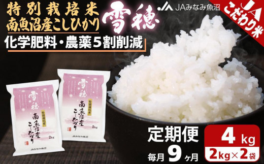 JAみなみ魚沼定期便】特別栽培米南魚沼産こしひかり「雪穂」（2kg×2袋