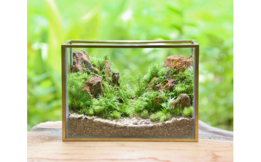 苔テラリウム・コケリウム》山岳の風景 メタルフレーム L | インテリア