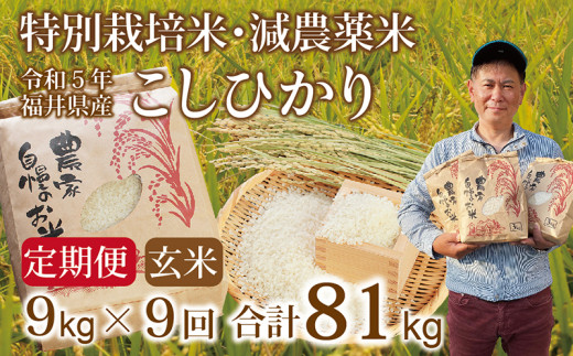 新米〉【定期便9回】減農薬米 こしひかり 9kg(3kg×3袋) ／令和5年福井  