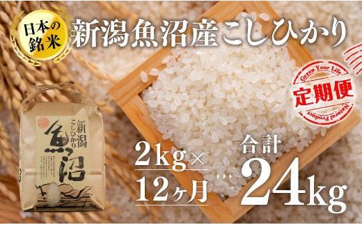 【12カ月定期便】新潟魚沼産こしひかり（精米）2kg