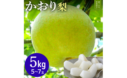 【かおり約5kg】かまがや育ちの完熟梨（梨業組合）