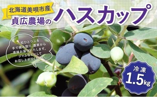 先行受付【令和5年産】貞広農場のハスカップ1.5ｋｇ【冷凍】 - 北海道