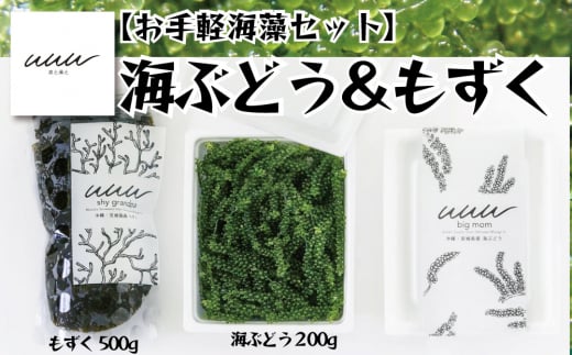 ふるさと納税「海ぶどう」の人気返礼品・お礼品比較 - 価格.com