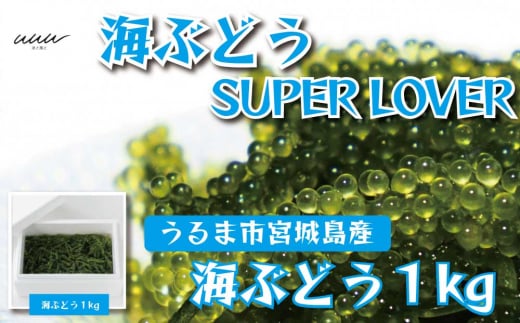 海ぶどうSuperLover 大容量1kgパック【2024年4月より順次発送