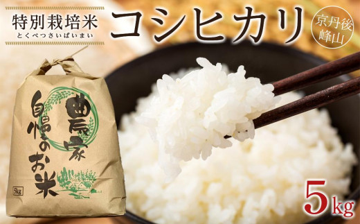 京丹後産 コシヒカリ≪令和4年産≫5kg - 京都府京丹後市｜ふるさと