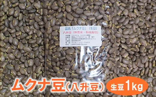 ムクナ豆（八升豆）生豆1kg 〔D-47〕 - 栃木県那須町｜ふるさとチョイス - ふるさと納税サイト