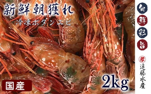 6-055-001 国産ボタンエビ 2kg（500×4） - 北海道増毛町｜ふるさとチョイス - ふるさと納税サイト