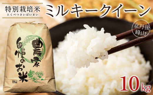 京都・京丹後峰山 特別栽培米ミルキークイーン　10kg
