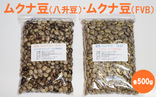 ムクナ豆（八升豆）生豆500g 　ムクナ豆（FVB）生豆500g 〔D-48〕