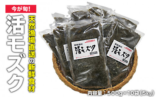 【期間限定】今が旬！天然漁場直送の新鮮食材　採れたて活モズク5kg（500g×10）沖縄県産