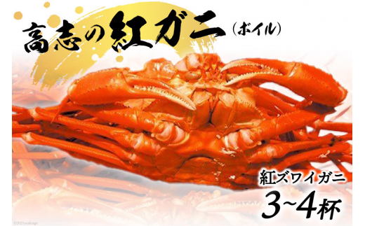 yxRsz[5313-0003]g YCKj {Cuu̍gKjv3`4ts10O`5㔼͂tJj I Ԍ ①/׋Ƌg ̉wunv/xR s