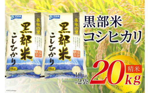 yxRsz[5313-0031]yߘa7NYz RVqJ 10kg×2 v20kg 