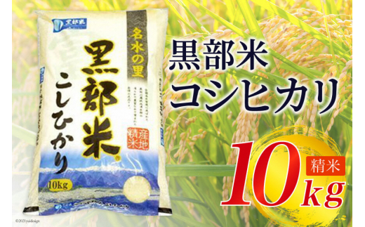 №5313-0029]米 令和5年 黒部米 コシヒカリ 10kg 精米 白米 こしひかり