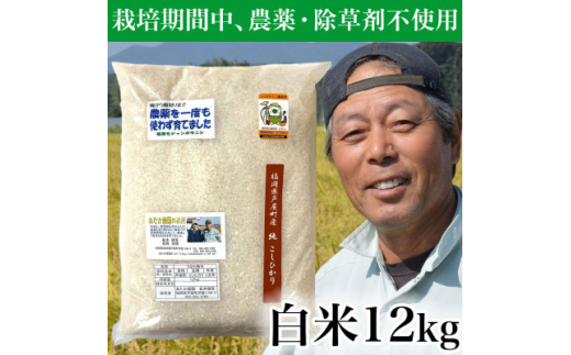 令和5年産＞コシヒカリ 農薬不使用(栽培期間中) 福岡県芦屋町産 〈白米