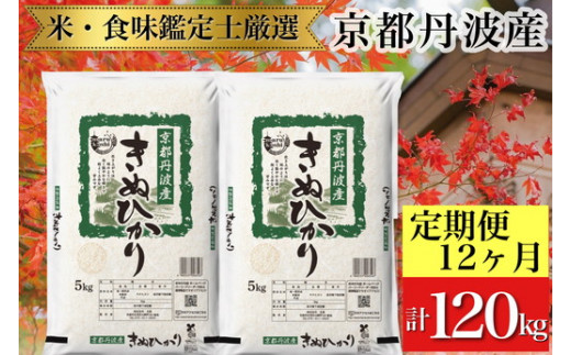 訳あり【12回定期便】京都丹波産 きぬひかり 10kg(5kg×2)×12ヶ月 計