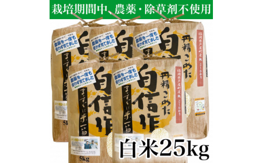 令和5年産＞コシヒカリ 農薬不使用(栽培期間中) 福岡県芦屋町産 〈白米