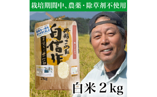 ＜令和5年産＞コシヒカリ　農薬不使用(栽培期間中) 福岡県芦屋町産 〈白米〉2kg 　【1389015】