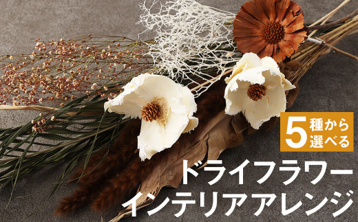5種から選べる】ドライフラワー インテリアアレンジ - 熊本県菊池市  