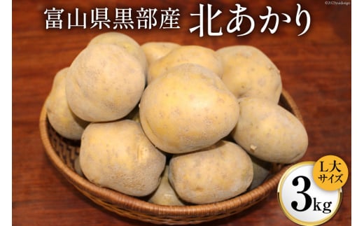 №5313-0174]黒部産 じゃがいも（北あかり）3kg/くろべの太陽/富山県