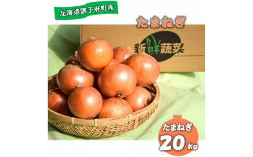 佐藤農場の玉葱20kg【1097717】 - 北海道訓子府町｜ふるさとチョイス