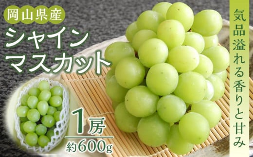 HP06 【2023年先行予約】岡山県産シャインマスカット 1房 約600g - 岡山県倉敷市｜ふるさとチョイス - ふるさと納税サイト