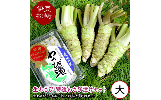 生わさび特選わさび漬けセット② - 静岡県松崎町｜ふるさとチョイス