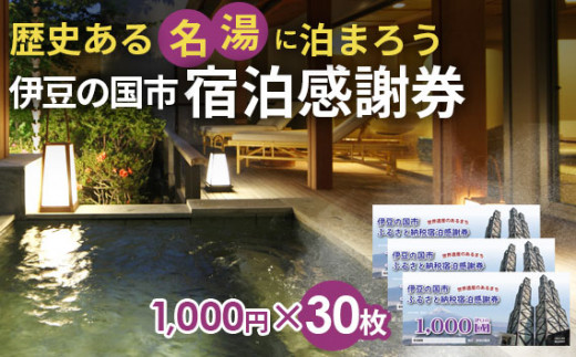 【静岡県伊豆の国市】伊豆の国市宿泊感謝券F(1000円×30枚)