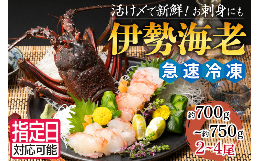 ふるさと納税 （冷蔵）伊勢志摩産 活車えび（Lサイズ