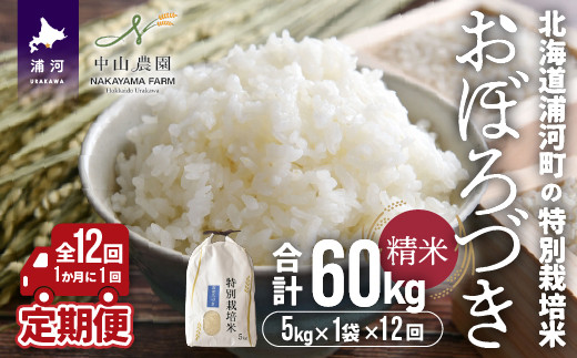 令和5年産】北海道浦河町の特別栽培米「おぼろづき」精米(5kg×1袋)定期