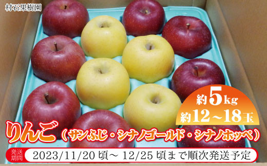 サンプル写真