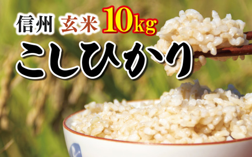 信州米 こしひかり ( 玄米 ) 10kg 長野県産 | 新米 令和5年産 米 こめ