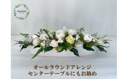 yʌtszAJ098-2 vU[uht[yvW[/sAO[zts VK[pC