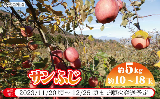 [No.5657-2541]りんご（サンふじ） 約10～18玉  約5kg《村石果樹園》■2023年～2024年発送■※11月中旬頃～1月下旬頃まで順次発送予定