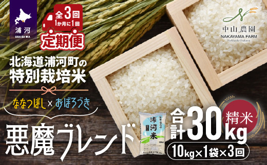 のでん 北海道浦河町の特別栽培米「おぼろづき」玄米(10kg×1袋)定期便