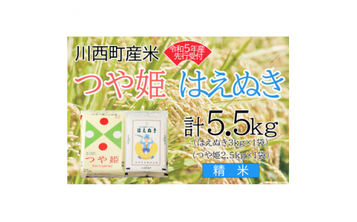 令和5年産 つや姫・はえぬき計5.5kg 精米セット 真空パック詰【1121436