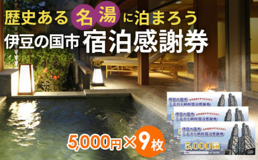 No.171101-07G 伊豆の国市宿泊感謝券G（5000円×9枚） - 静岡県伊豆の国市｜ふるさとチョイス - ふるさと納税サイト