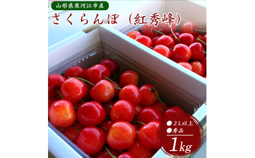 さくらんぼ「 紅秀峰 」1kg 秀品 2Lサイズ以上 （500g×2）山形県産 2024年産 令和6年産  《生産者直送》【2024年6月下旬頃〜7月上旬頃発送予定】　029-A-OT006