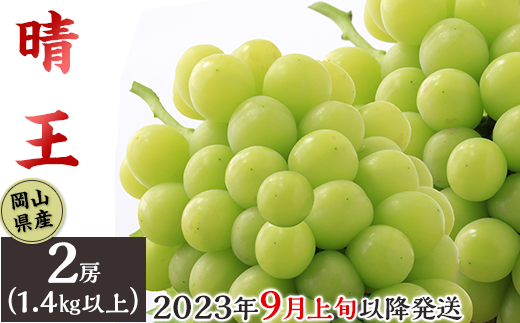 74-17岡山県産シャインマスカット「晴王」2房（1.4kg以上）【2023年9月