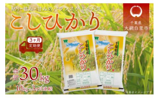 新米　農家の食べてるお米　無洗米　11.5kg クーポン利用