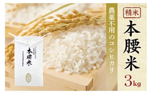 【千葉県大網白里市】令和7年産 本腰米3kg 精米 千葉県産コシヒカリ 農薬不使用 【 ふるさと納税 お米 3kg 千葉県産 大網白里市 コシヒカリ 農薬不使用 米 精米 こめ 送料無料 】F001