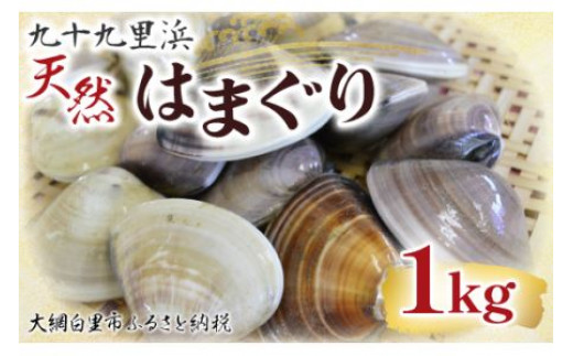 九十九里浜 天然ながらみ 2kg【名産】 ふるさと納税 ながらみ 九十九里