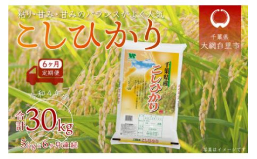 ふるさと納税 千葉県 大網白里市 ＜6ヶ月定期便＞千葉県産「コシヒカリ