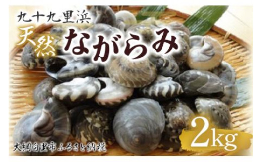 九十九里浜 天然ながらみ 2kg【名産】 ふるさと納税 ながらみ 九十九里