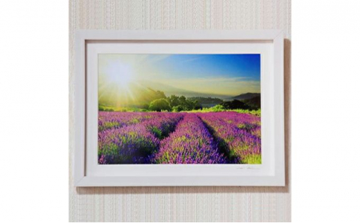 y쌧cszMBc̕i@ʐ^Ɖci@W4؃TCYztIWivg@17 [5312-7129]0560