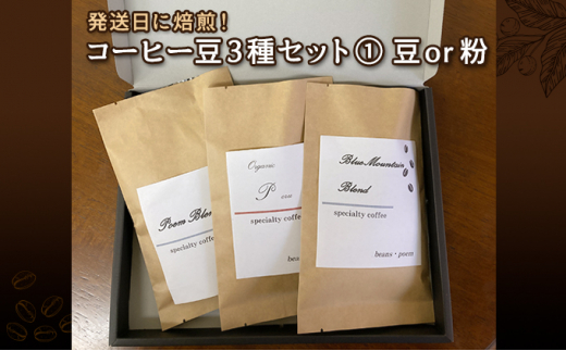 【大阪府大阪市】発送日に焙煎！コーヒー豆3種セット(1)【豆】