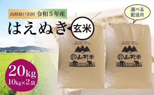 令和5年産 山形県戸沢村 厳選 はえぬき 【玄米】 20㎏（10kg×2袋） ＜配送時期指定可＞