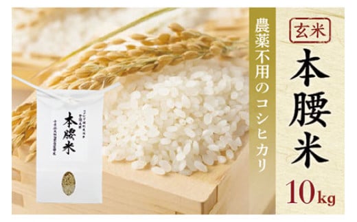 新米】令和6年産 本腰米10kg 玄米 千葉県産コシヒカリ 農薬不使用 お米 10kg 千葉県産 大網白里市 コシヒカリ 農薬不使用 米 玄米 こめ  送料無料 - 千葉県大網白里市｜ふるさとチョイス - ふるさと納税サイト