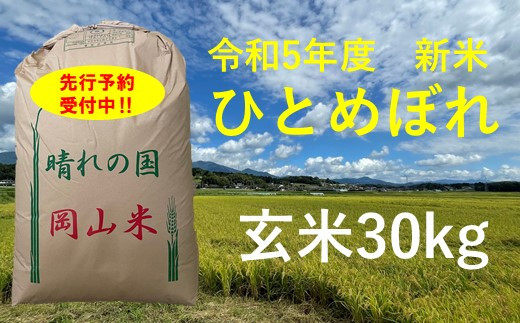 令和5年産 食味コンテスト受賞者の作るお米シリーズ「ひとめぼれ玄米